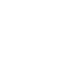 Kiwi icon