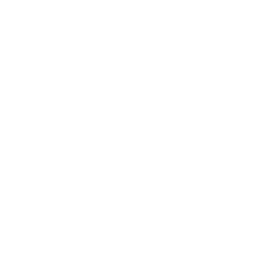 Laksa paste icon