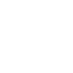 Cilantro chutney icon