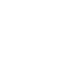 Ponzu sauce icon