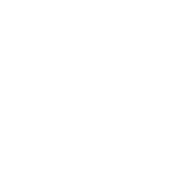 Champagne vinegar icon