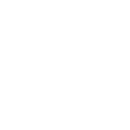 Coffee liqueur icon