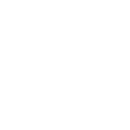 Lemon essential oil icon