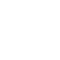 Buratta cheese icon