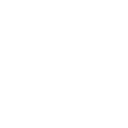 Orange liqueur icon