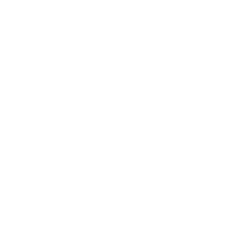 Guinness icon