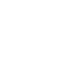 Black cherries icon