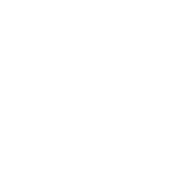 Turkey bacon icon