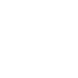 Tomato pulp icon