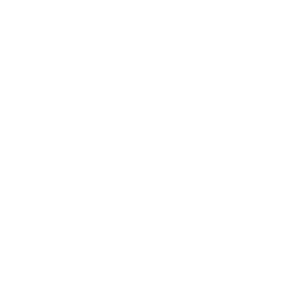 Yellow split peas icon