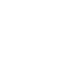 Tea bag icon