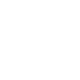 Buckwheat flour icon