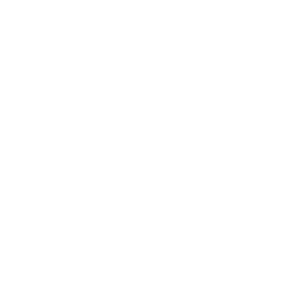 Cacao powder icon