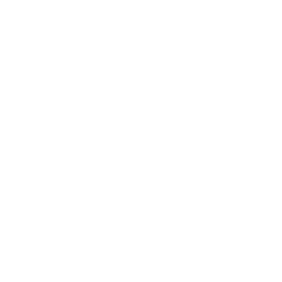 Lettuce icon