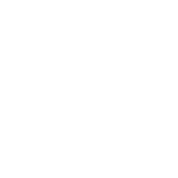 White miso paste icon