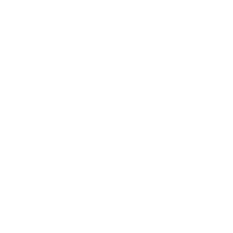 Acorn squash icon