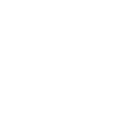 Plum sauce icon