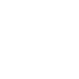 Porcini mushroom icon