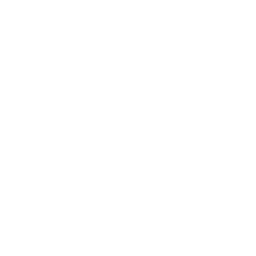 Chicken carcass icon