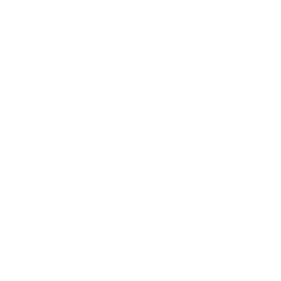 Sugar substitute icon