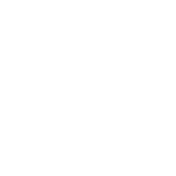 Peppermint oil icon