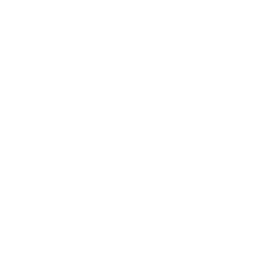 Balti curry sauce icon