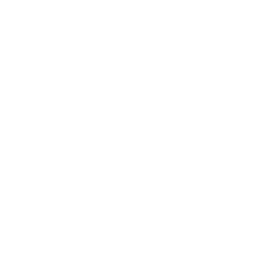 Steak icon