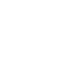 Passion fruit pulp icon