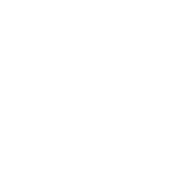 Rice wine icon