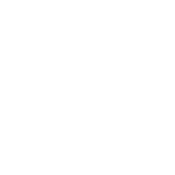 Tapioca flour icon