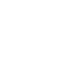 Onion purée icon