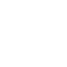 Horseradish sauce icon