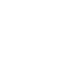 Tomato basil sauce icon