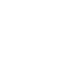 Sour cherries icon