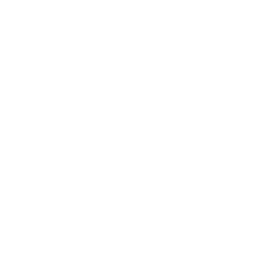 Frozen corn icon