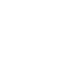 Purple sprouting broccoli icon