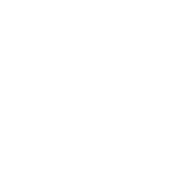 Unsalted cashew nuts icon