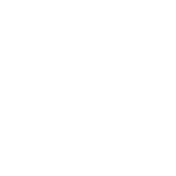 Pomegranate molasses icon