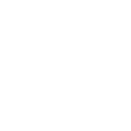 Ravioli icon
