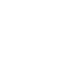 Avocado oil icon