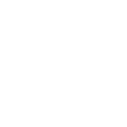 Coconut water icon