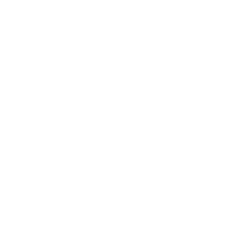 Olive oil spray icon