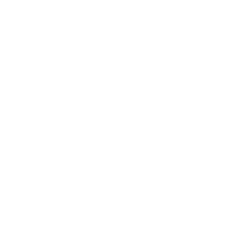 Applesauce icon