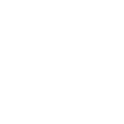 Icône de Melon