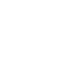 Barramundi icon