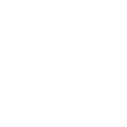 Udon noodles icon